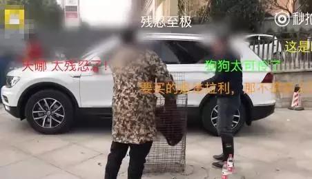当街杀狗滴血祭新车，网友气炸！