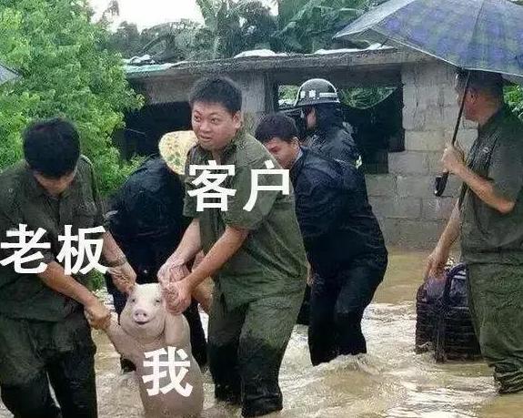 你的2017是什么样子,你的2017这一年总结