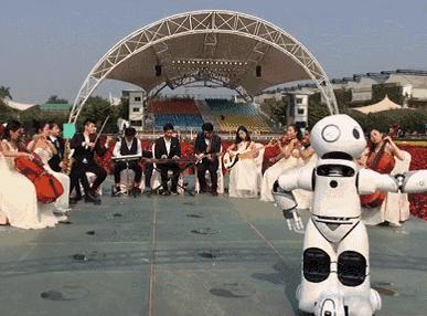 元旦南沙去哪里玩,南沙黄山鲁森林公园游玩攻略