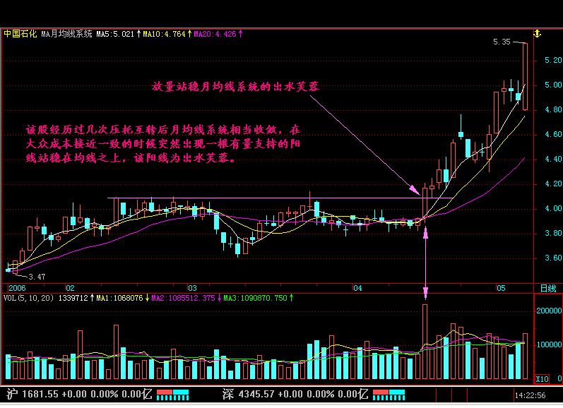 老股民肺腑之言,老股民的感言