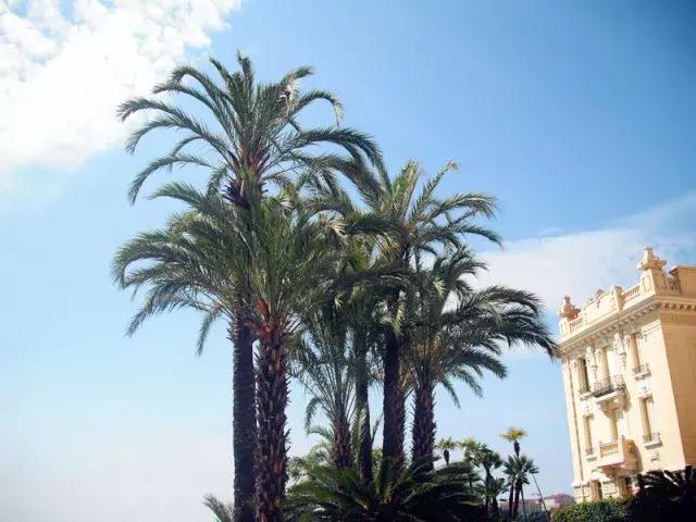 法国纪行—摩纳哥（看看F1赛道，欧洲*场赌**和摩纳哥王妃）