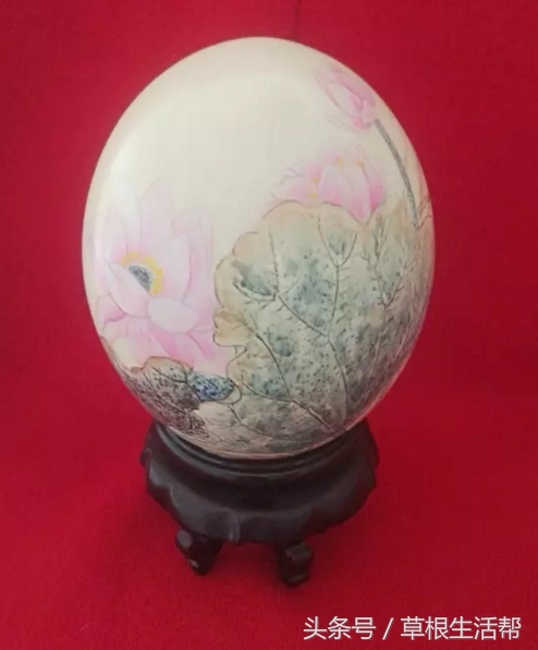 养殖“大笨鸟”，敲开致富门，80后回老家创业成为新一代农场主