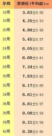 b超单怎么看圆形和长条形,b超单如何看是不是大高个