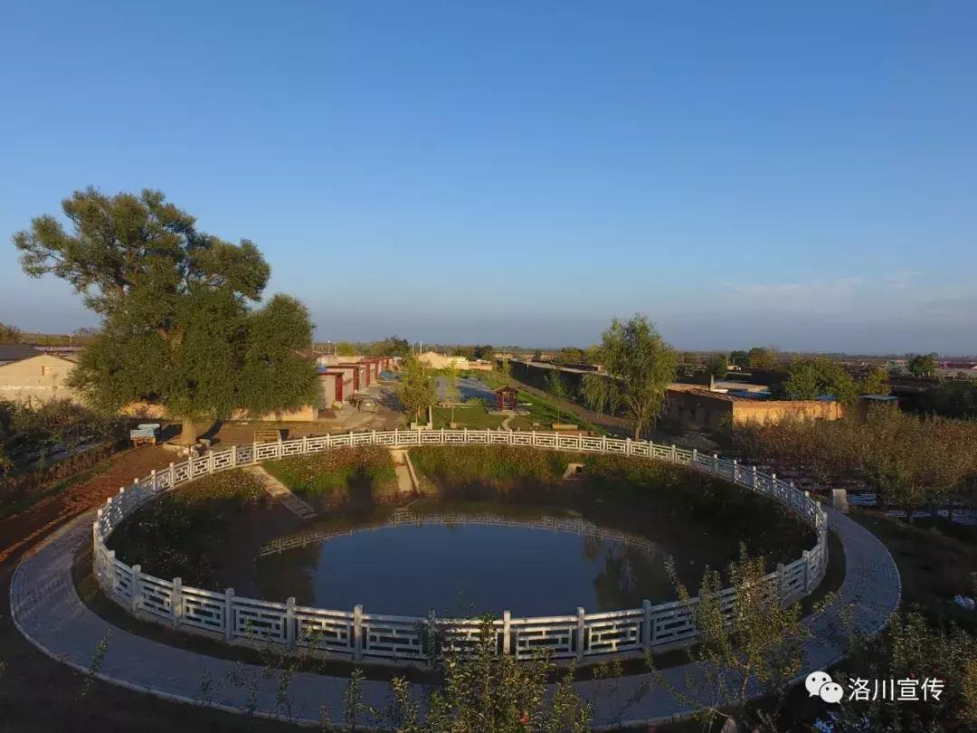 数说中国1921到1949,数说中国年12生肖