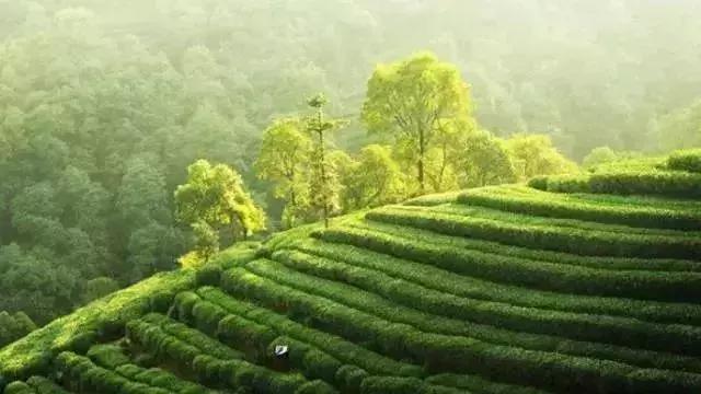 新年第一天去海边看日出,去海边看日出拍的照片