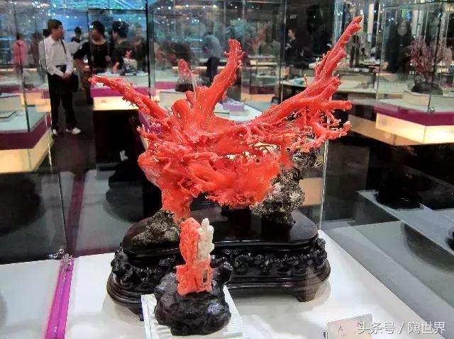 台湾红珊瑚的功能与主治,红珊瑚是佛教的七宝之一