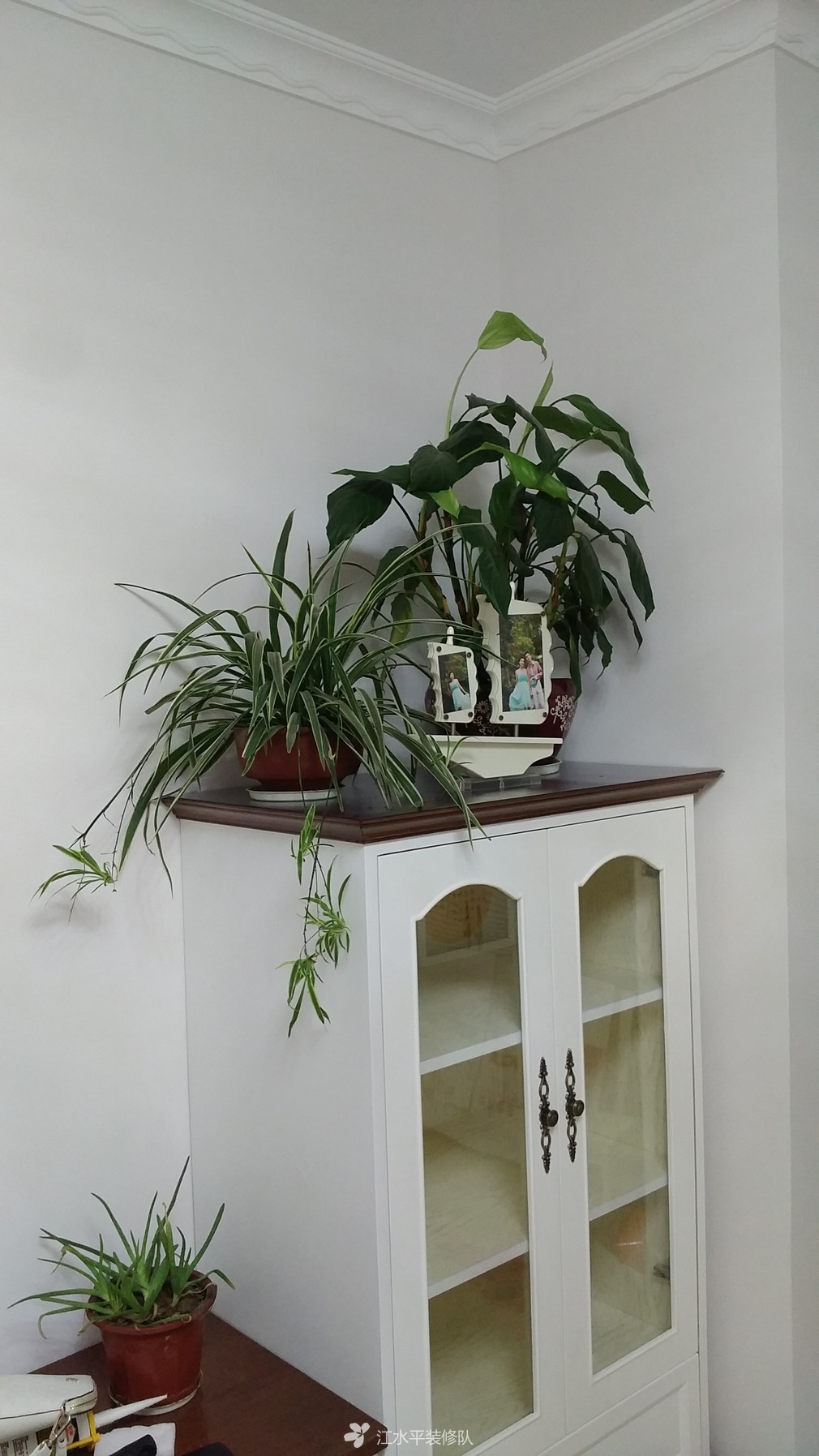 绵阳装饰设计推荐,绵阳好口碑装修装饰设计公司推荐