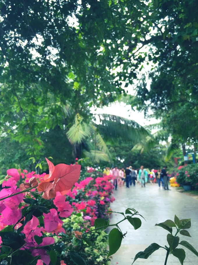 三亚暖冬之旅攻略,北纬18度海南三亚