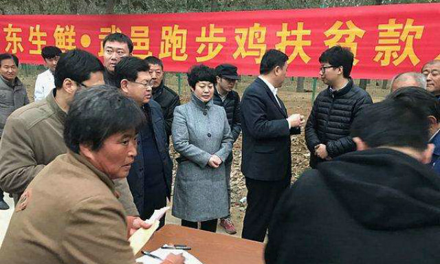 刘强东谈电商扶贫新模式,刘强东扶贫平石头村致富了吗