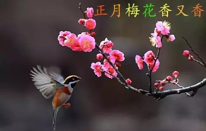 2021绝版绝美挂历,2018精美挂历有吗