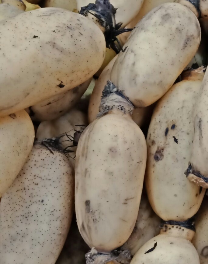 绿色无公害的蔬菜排行,绿色无公害蔬菜说说