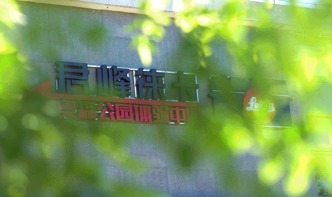 传感器有污垢会影响照片吗,照片有污垢怎么消除