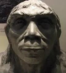 土气怎么变有气质,为什么有些人看起来就土气