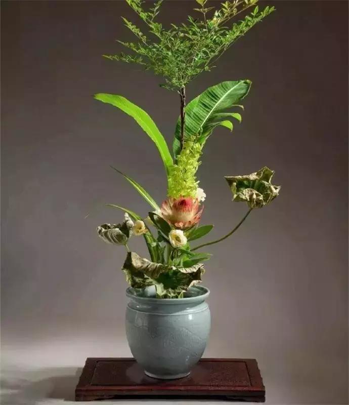 100句古今绝美句子,二十四史经典佳句30则附译文