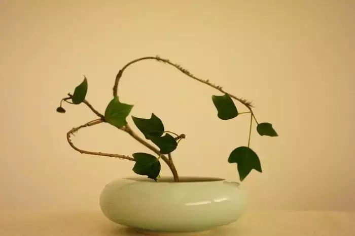 100句古今绝美句子,二十四史经典佳句30则附译文