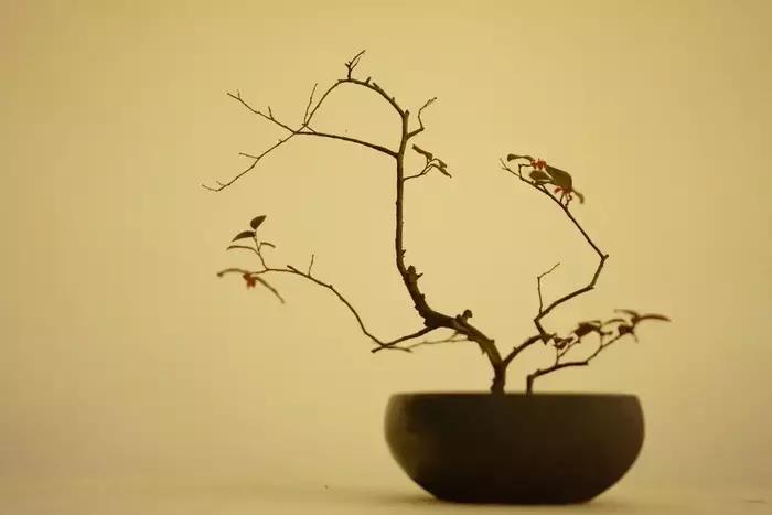 100句古今绝美句子,二十四史经典佳句30则附译文