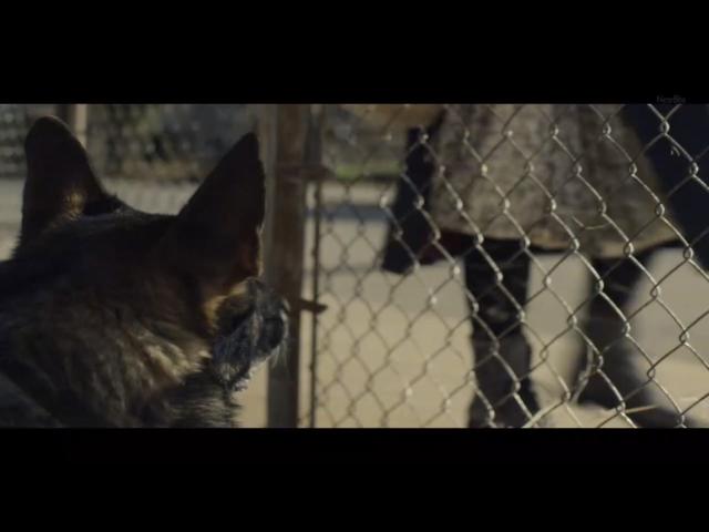 嘿嘿嘿被父母撞见?《黑镜》S4E2:最应该给父母看的一集美剧!