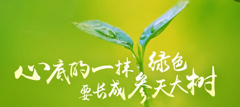 健康苹果漆竹炭净味,健康苹果漆艺术涂料怎样