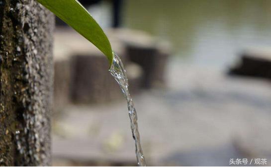 想泡好一壶茶必须有好的茶具,茶经五大名泉是哪五种