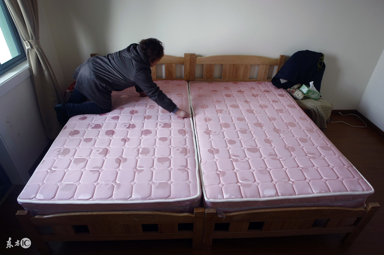 和三个女人合租一套房子,和三个女生合租的日子