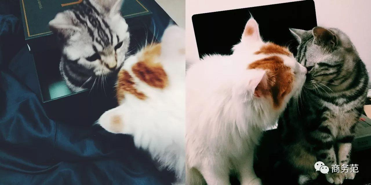 2017年，33件好用到哭、让人感到幸福的好物