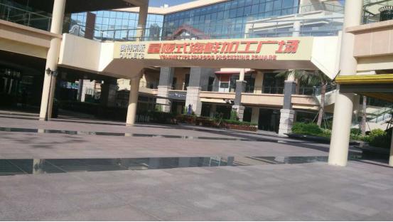 带着一家子来海边,带着一家子去旅游