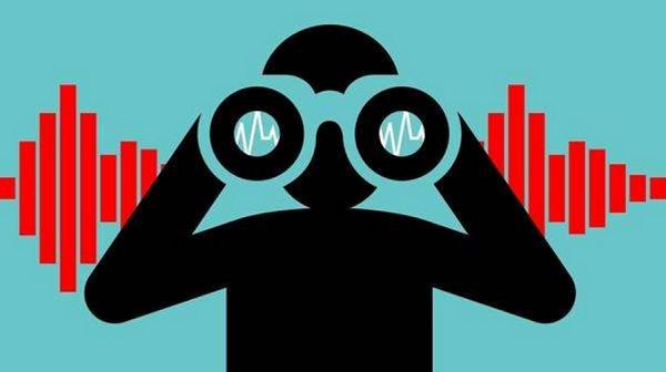 钱宝网张小雷判决书,钱宝网张小雷判决结果