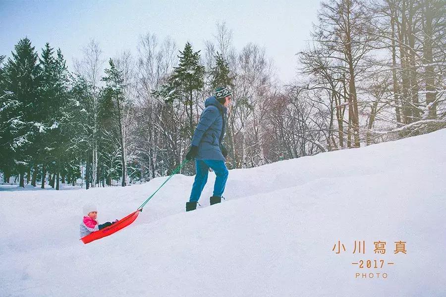 北海道自由行攻略,北海道旅游攻略七天自由行