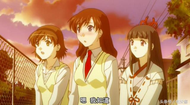 摔跤动漫有什么,好看的摔跤动漫