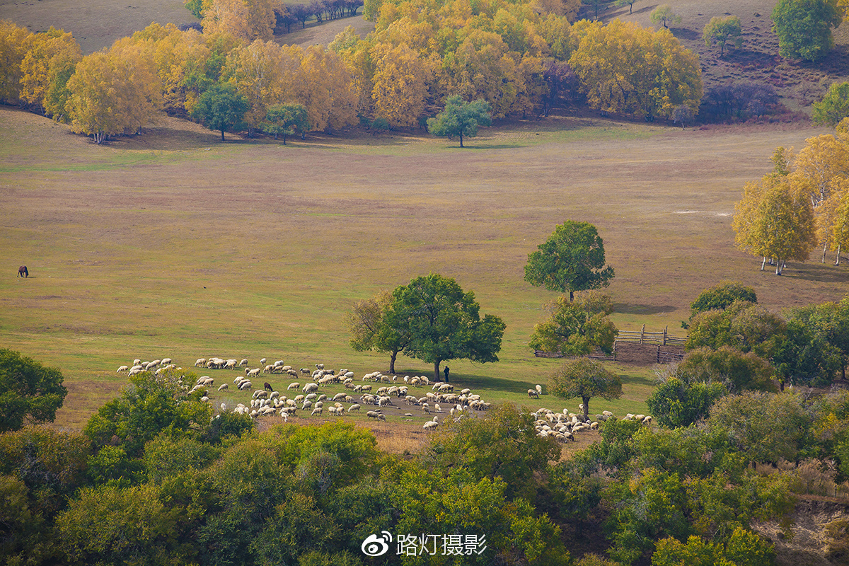 把喜欢的事做到极致诗句,能把喜欢的事做好