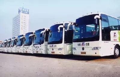 新的一年,蔡甸这些东西统统免费!不知道你就亏大了!