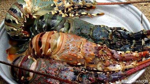 奥巴马在越南吃的米线做法,奥巴马都爱吃的中国菜