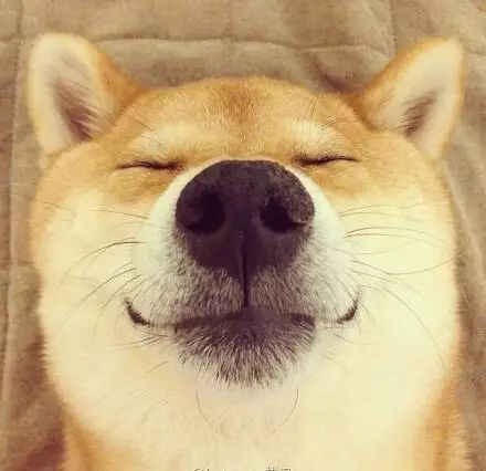 世人都说太相似的两个人不适合在一起我想这是最好的答案