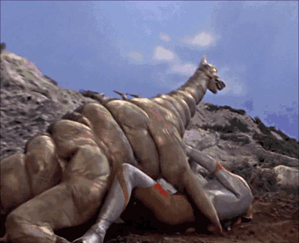 摔跤动漫排行榜,有关摔跤的动漫