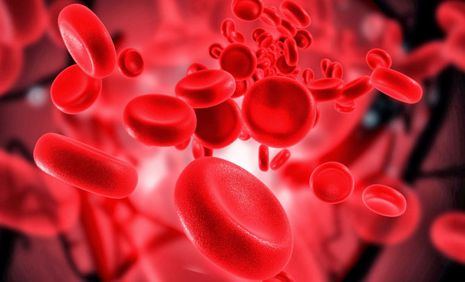 怎么补气血缺铁性贫血,贫血是造血功能有问题吗