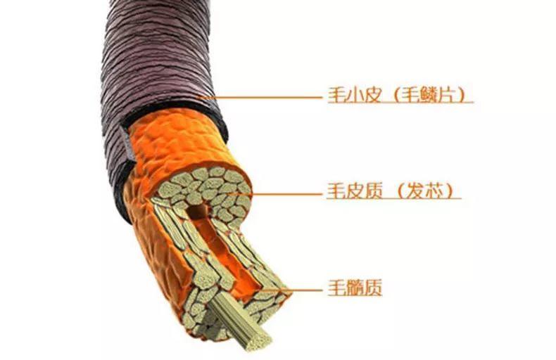 摩洛哥油经典护发精油,卡诗和摩洛哥发油哪个好