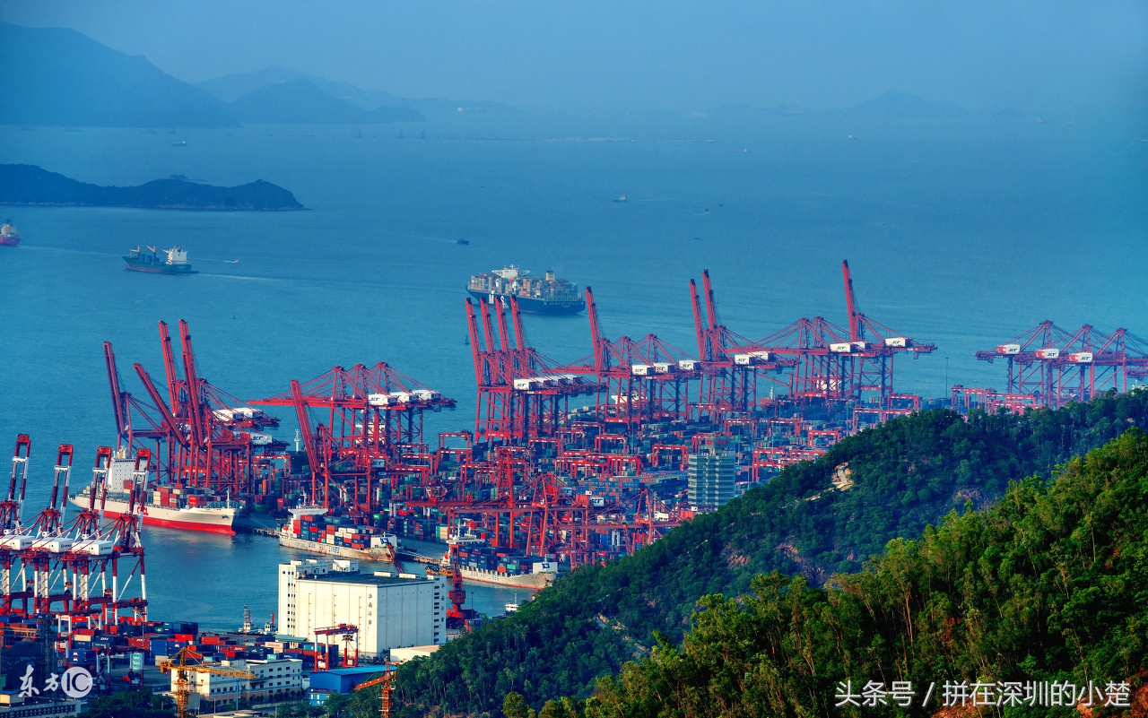 深圳南山有几个集装箱港口码头,深圳港口码头最新消息