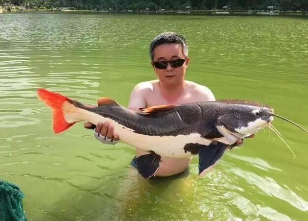 钓鱼探钓达人,钓鱼达人视频海钓