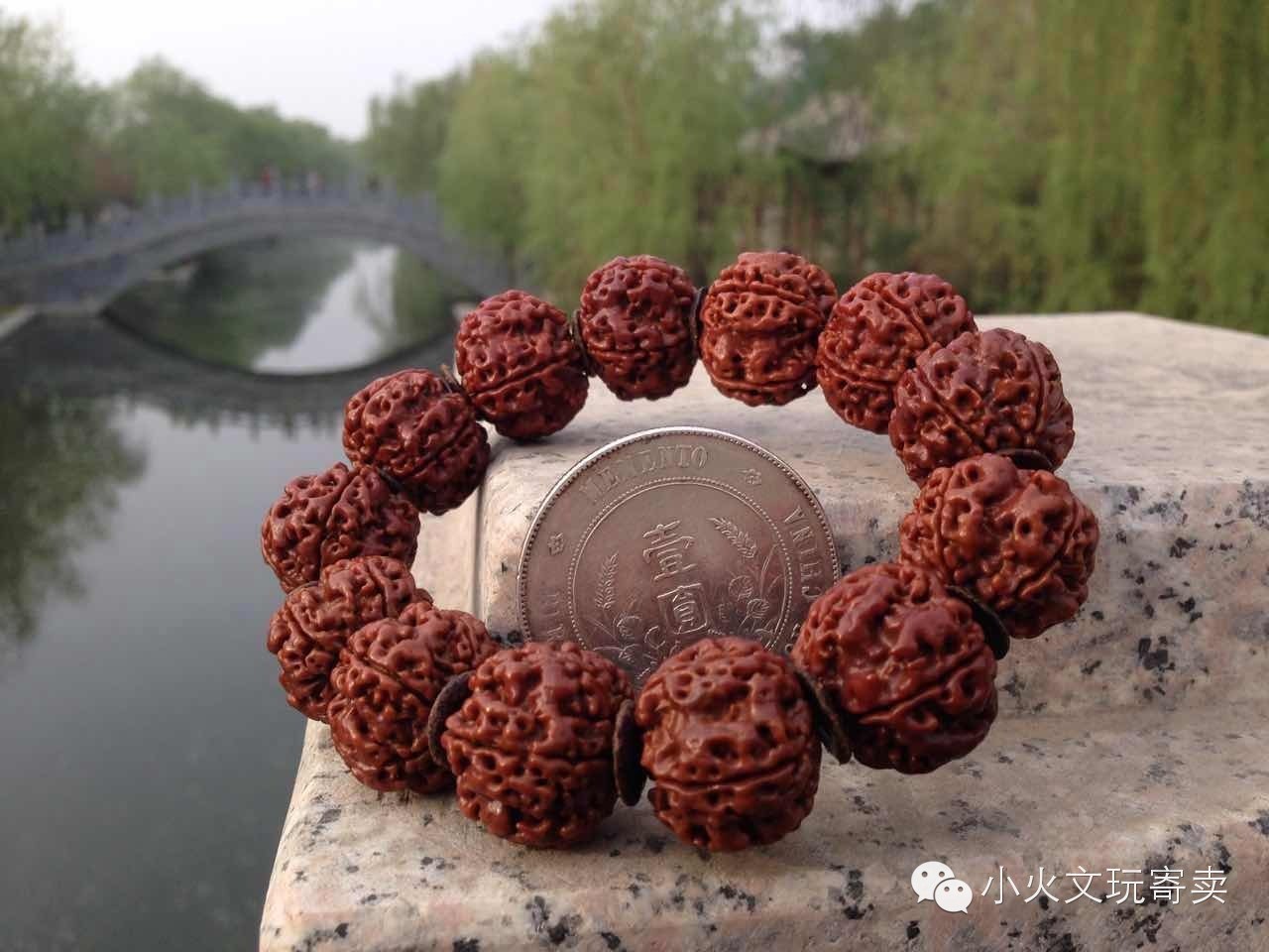 金刚和落地红的图片,金刚落地红视频