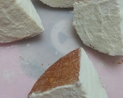 奶酪包,奶酪包与猫