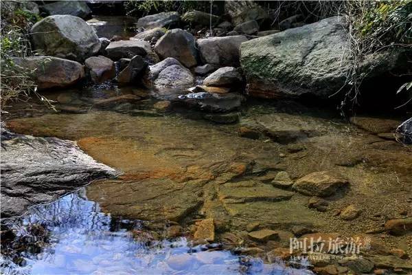 想喝上一杯好茶，绝对不能少了它|春日茶事1