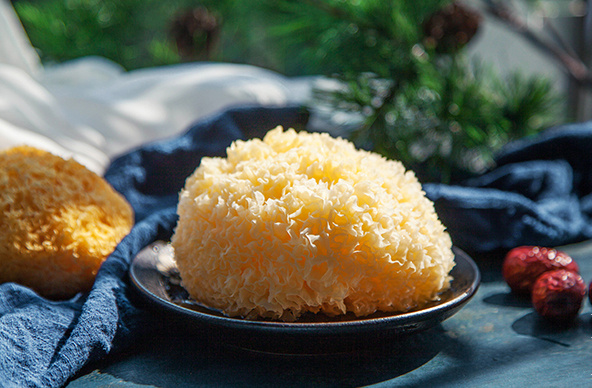 比燕窝更好的植物,比燕窝好的植物