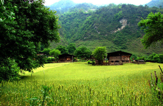 2018上半年，据说会玩的人都在合适的时间去这些美腻的地方了！