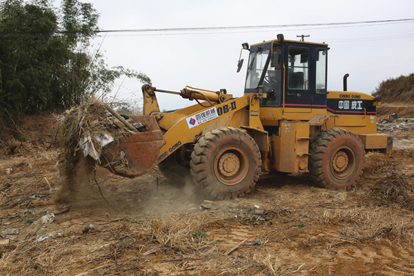 龙泉人的生活现状,龙泉人的生活怎么样