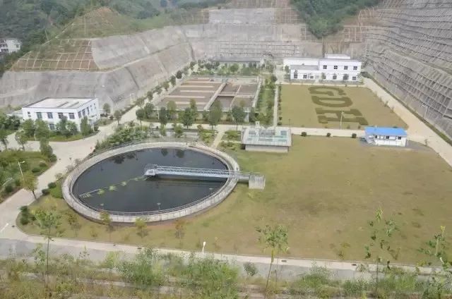 政府采购实现降本增效,规范和加强政府采购管理工作汇报