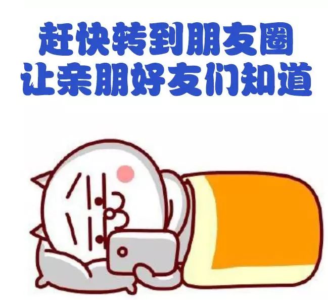 荔波汽车站发车时刻表,荔波最新公交车路线图