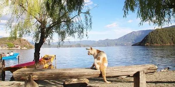 山清水秀泸沽湖,泸沽湖水天一色皆风景