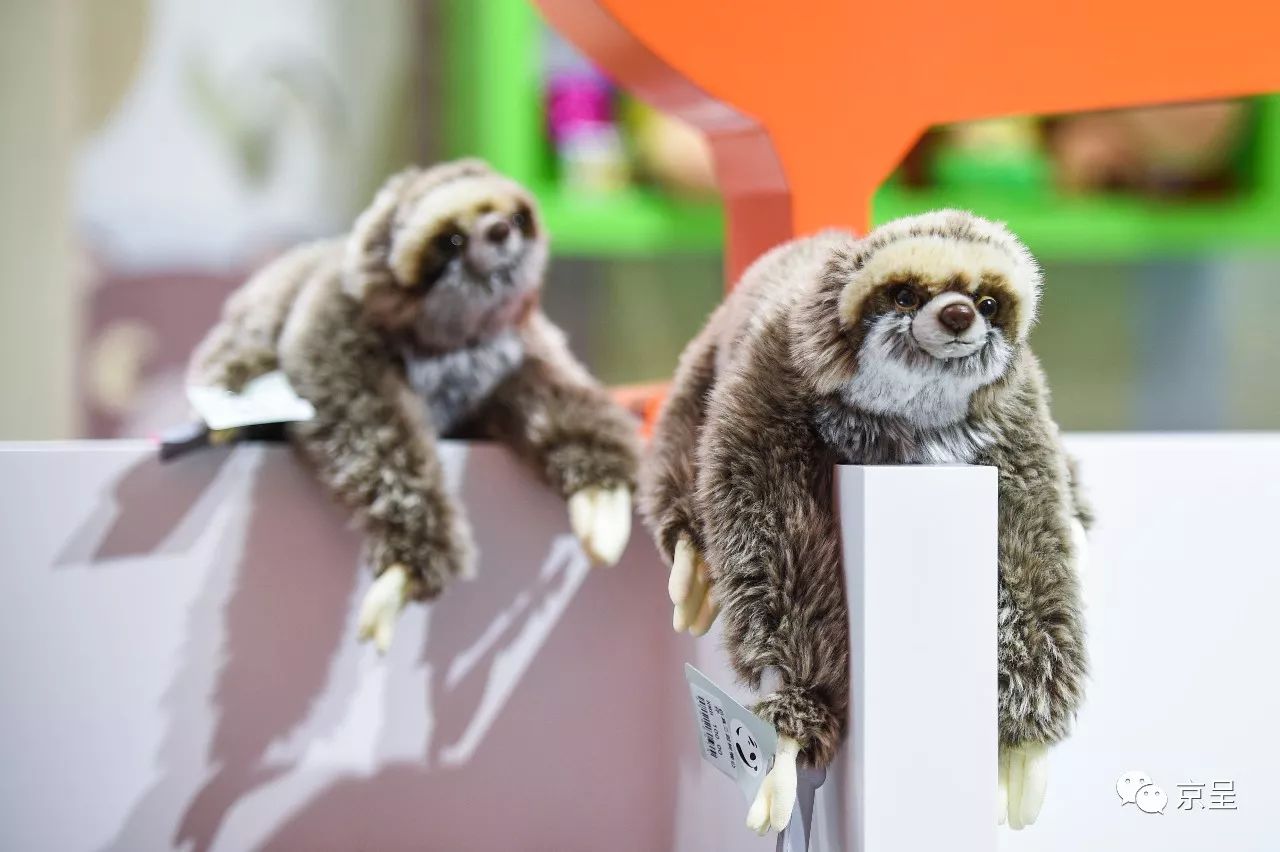 鹈鹕树懒食蚁兽?北京这家非主流玩偶店教你认认新萌物