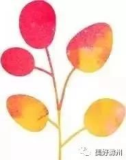 全城聚焦,全城聚焦图片