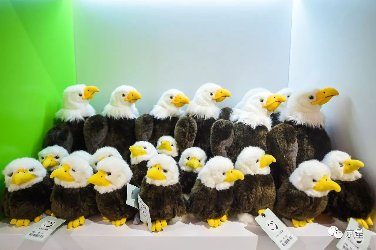 鹈鹕树懒食蚁兽?北京这家非主流玩偶店教你认认新萌物